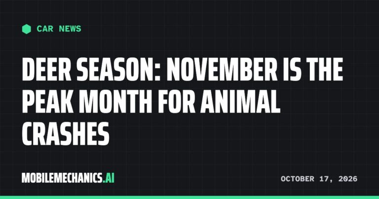 Deer season is here: November is the worst month for animal crashes, State Farm says